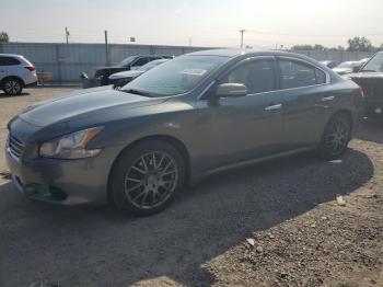  Salvage Nissan Maxima