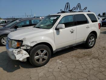  Salvage Ford Escape