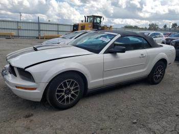  Salvage Ford Mustang