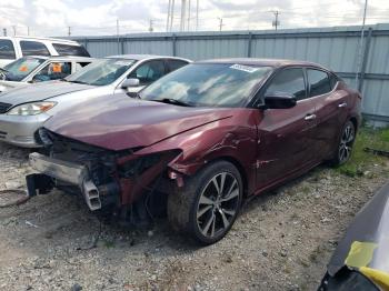  Salvage Nissan Maxima