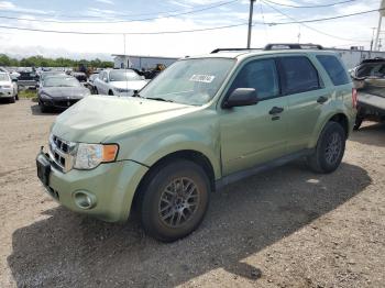  Salvage Ford Escape