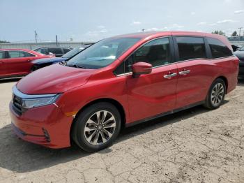  Salvage Honda Odyssey