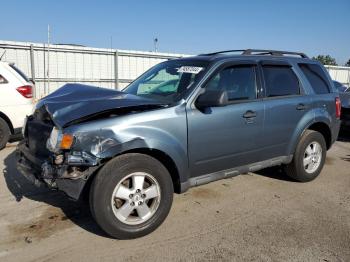  Salvage Ford Escape