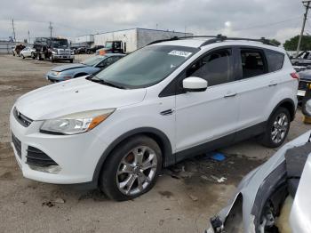  Salvage Ford Escape