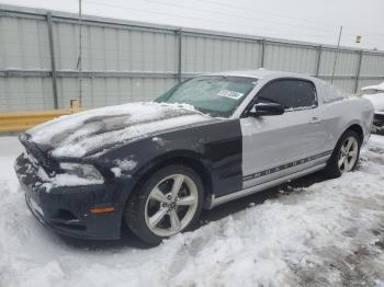  Salvage Ford Mustang