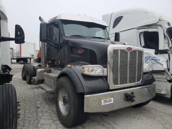  Salvage Peterbilt 567