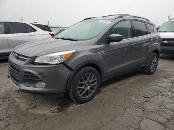  Salvage Ford Escape