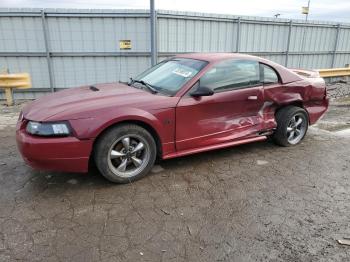  Salvage Ford Mustang