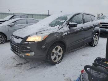  Salvage Ford Escape