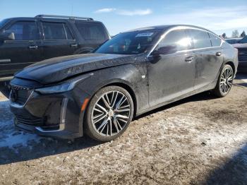  Salvage Cadillac CT5