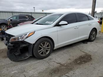  Salvage Hyundai SONATA