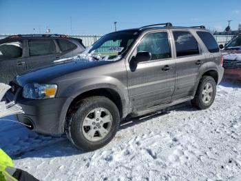  Salvage Ford Escape