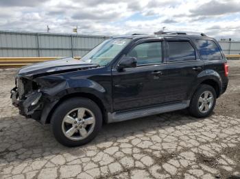  Salvage Ford Escape