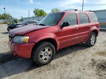  Salvage Ford Escape