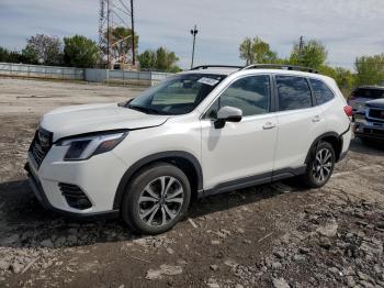  Salvage Subaru Forester