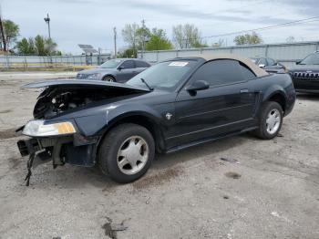  Salvage Ford Mustang