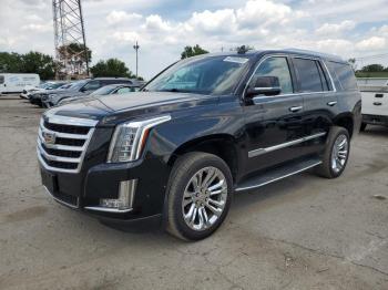  Salvage Cadillac Escalade