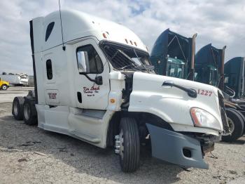  Salvage Freightliner Cascadia 1