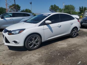  Salvage Ford Focus