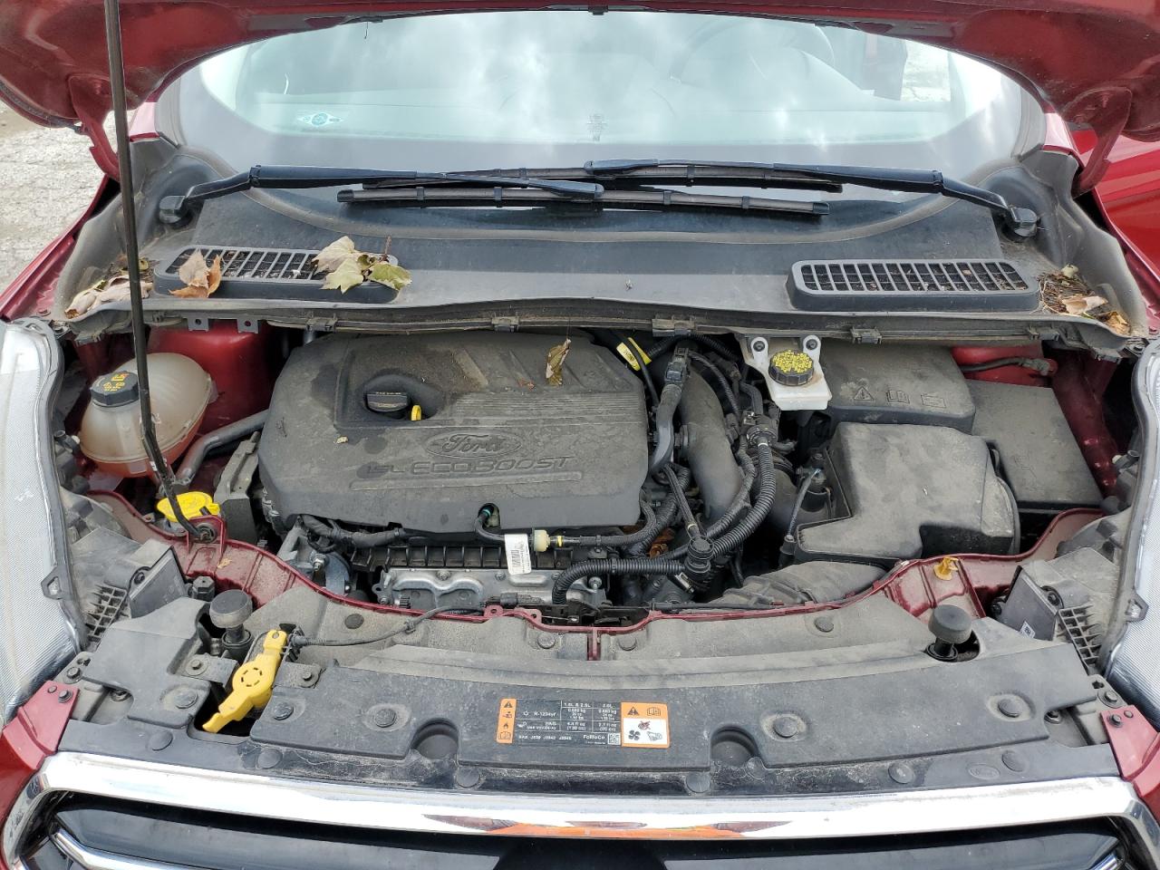 Ford Escape Se Image 12