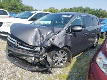  Salvage Honda Odyssey