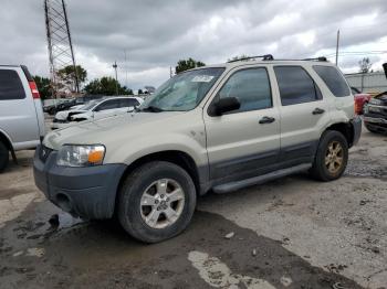 Salvage Ford Escape