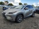 Lexus NX 300h Image 1