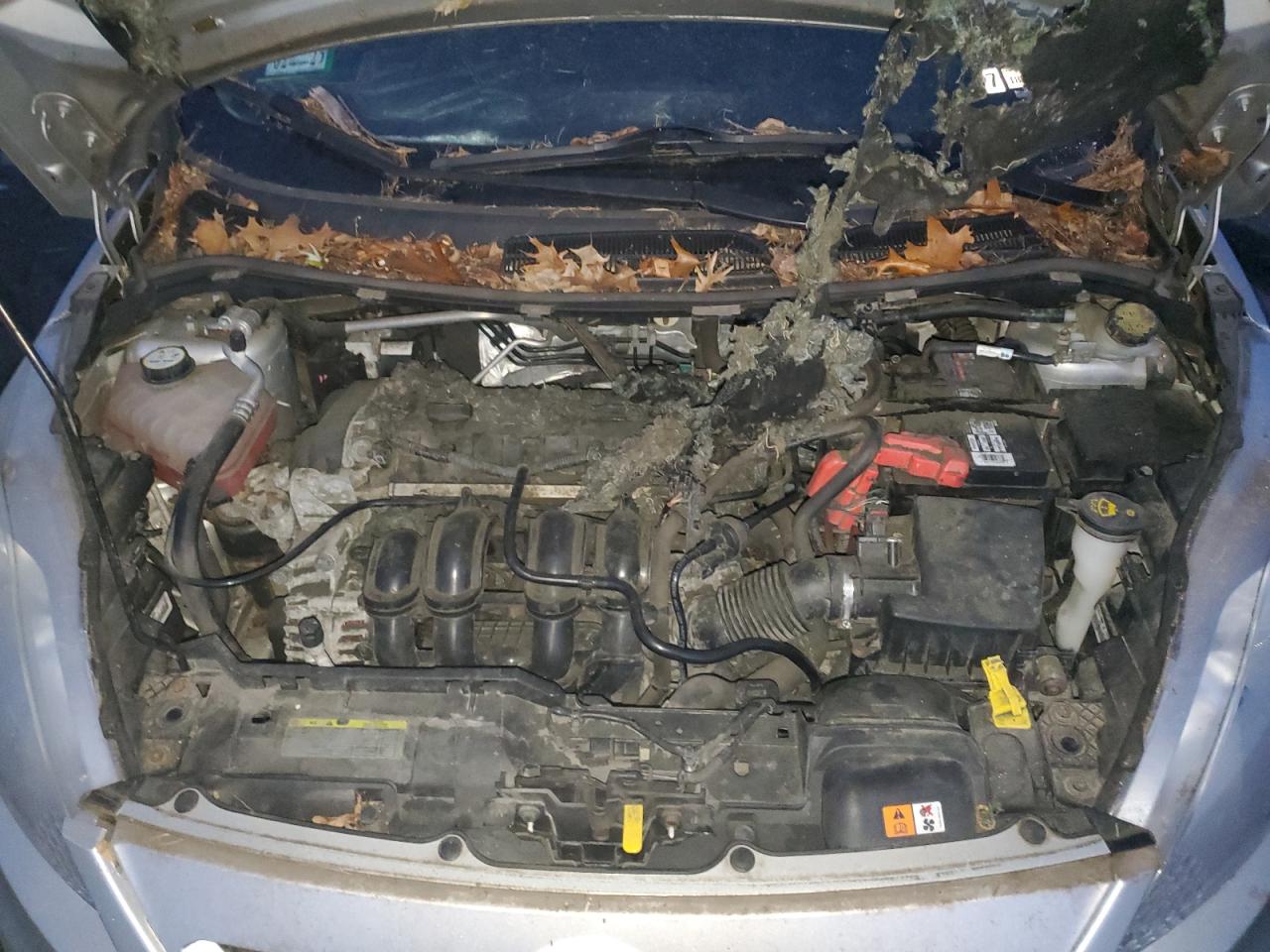 Ford Fiesta Se Image 10