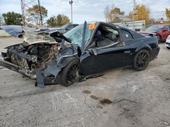  Salvage Ford Mustang