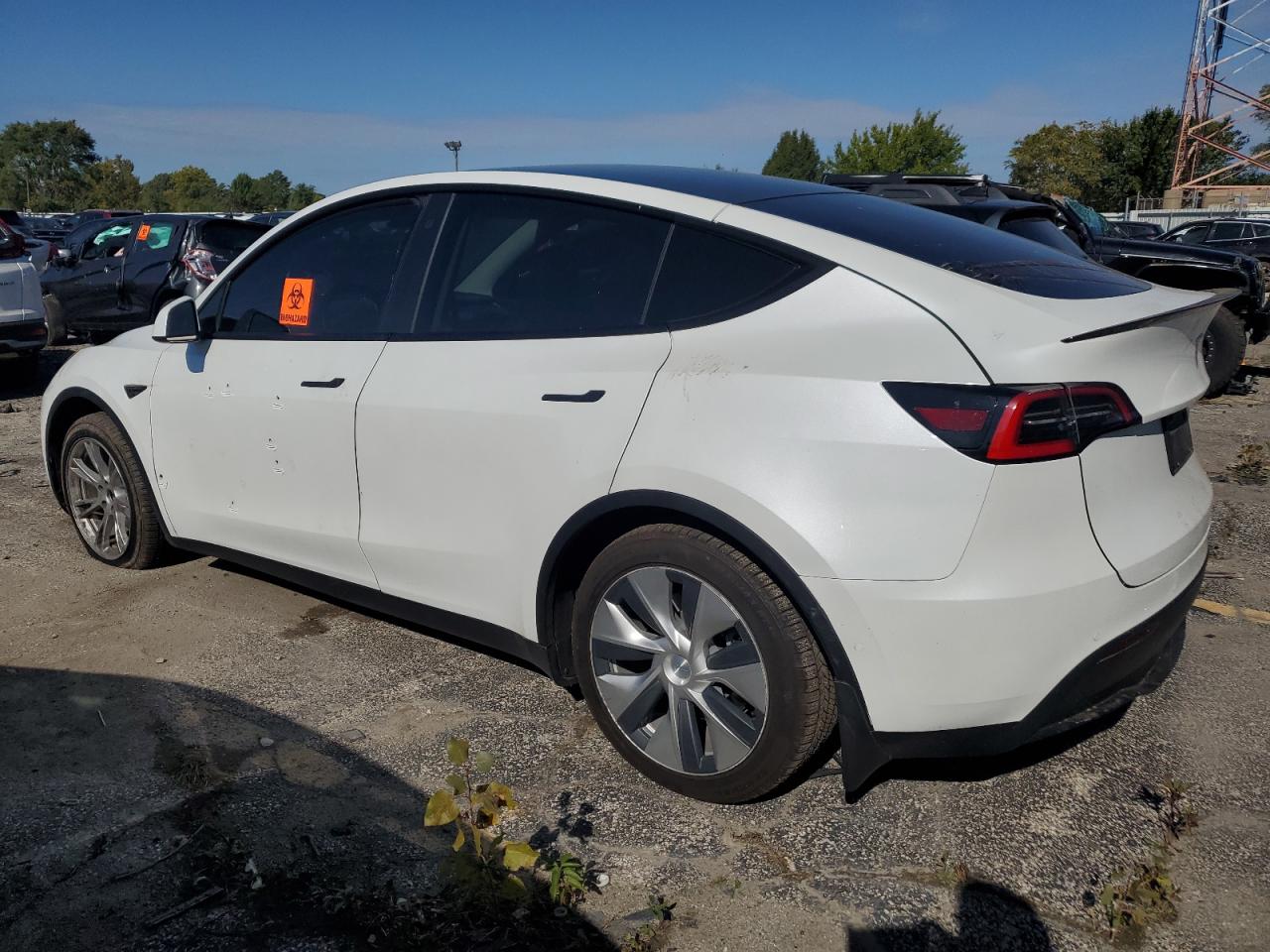 Tesla Model Y Image 2