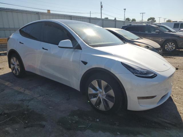 Tesla Model Y Image 12