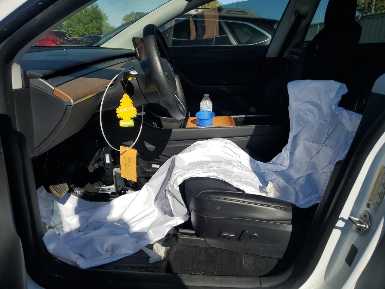 Tesla Model Y Image 6