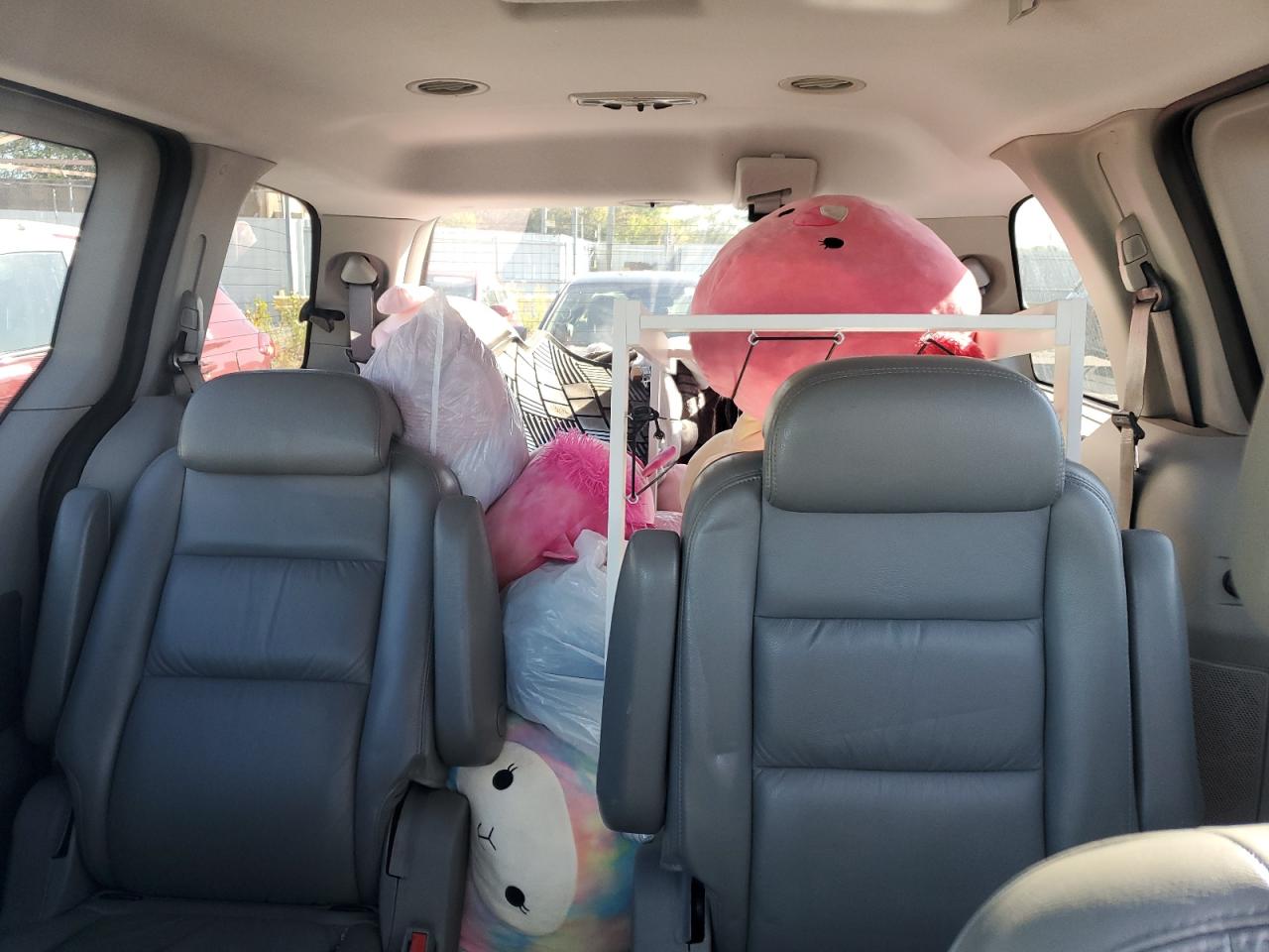 Ford Freestar Limited Image 11