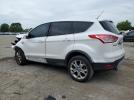 Ford Escape Sel Image 4