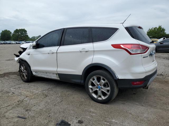Ford Escape Sel Image 4