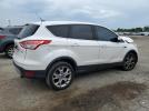 Ford Escape Sel Image 2