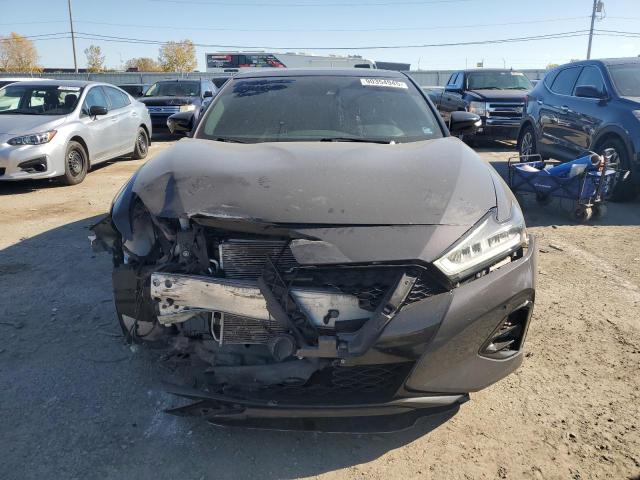 Nissan Maxima Platinum Image 6