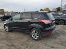 Ford Escape Titanium Image 4