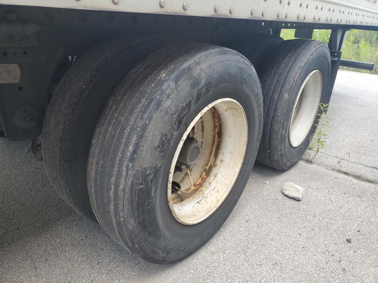 Great Dane Other Image 6