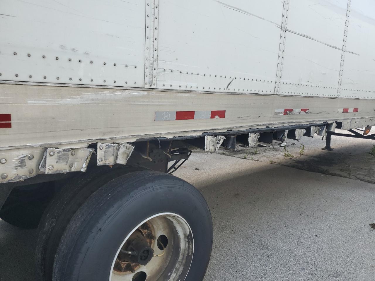 Great Dane Other Image 8