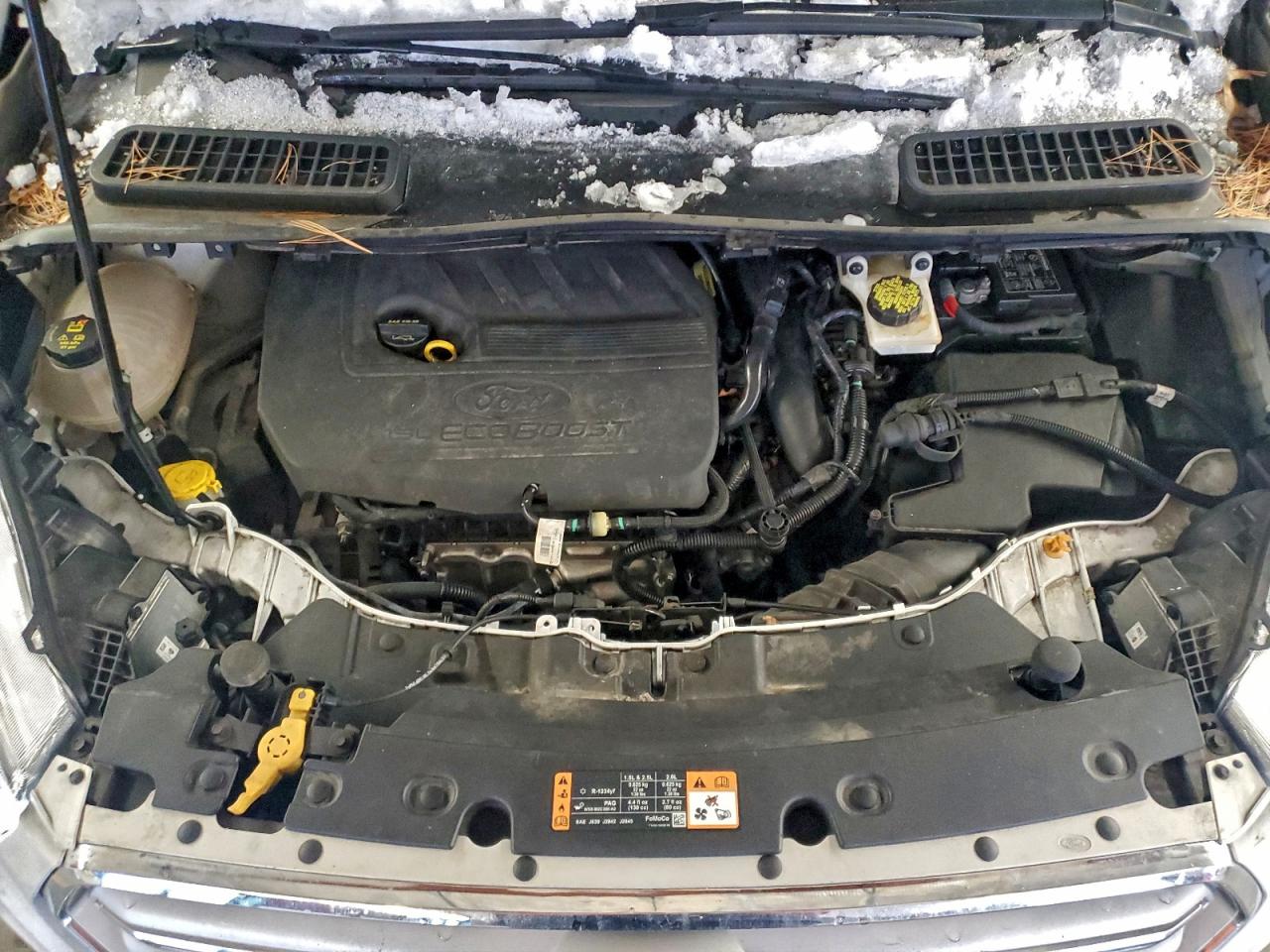 Ford Escape Sel Image 7