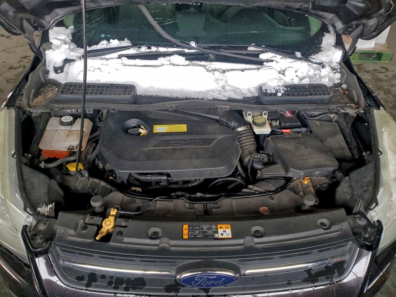 Ford Escape Se Image 12