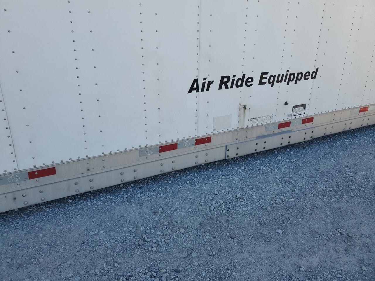 Great Dane Other Image 9