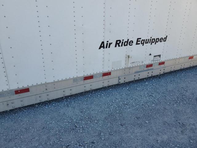 Great Dane Other Image 9