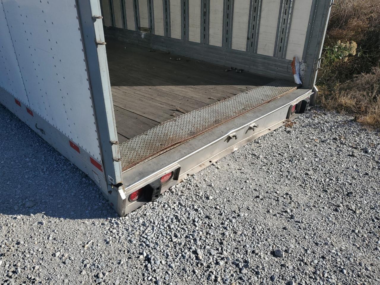 Great Dane Other Image 10