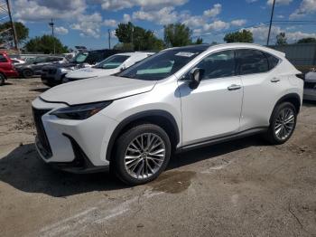 Salvage Lexus NX