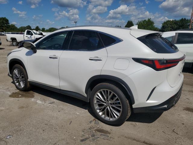 Lexus NX 350h Image 8