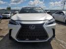 Lexus NX 350h Image 4