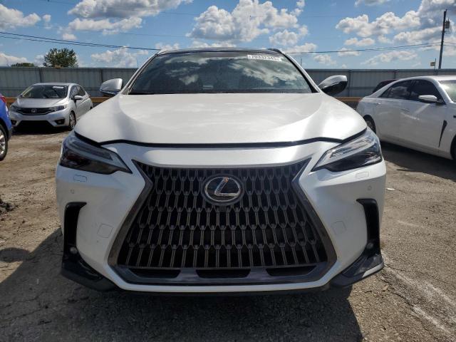 Lexus NX 350h Image 4