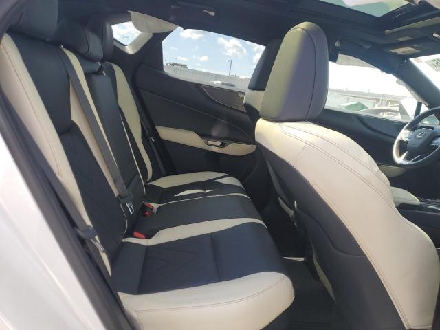 Lexus NX 350h Image 10